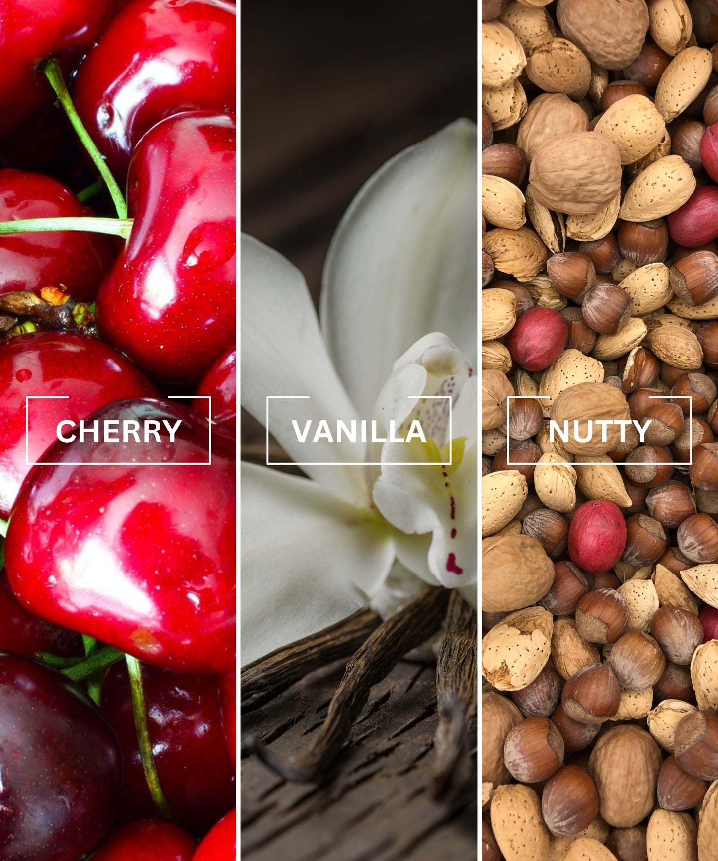 Cherry Car Bundle
