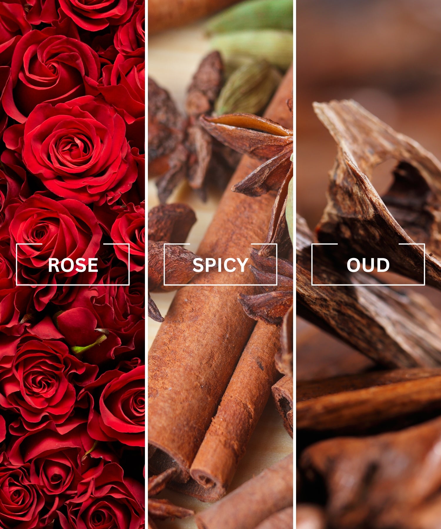 Isfahan Oud Car Diffuser