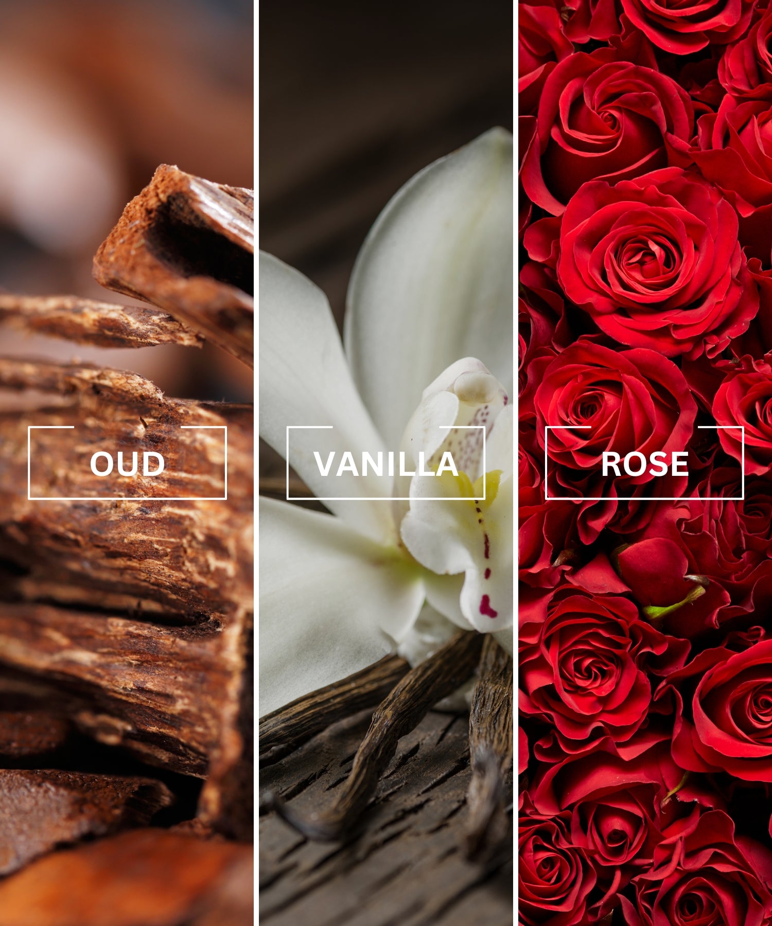 Noir Oud Car Diffuser