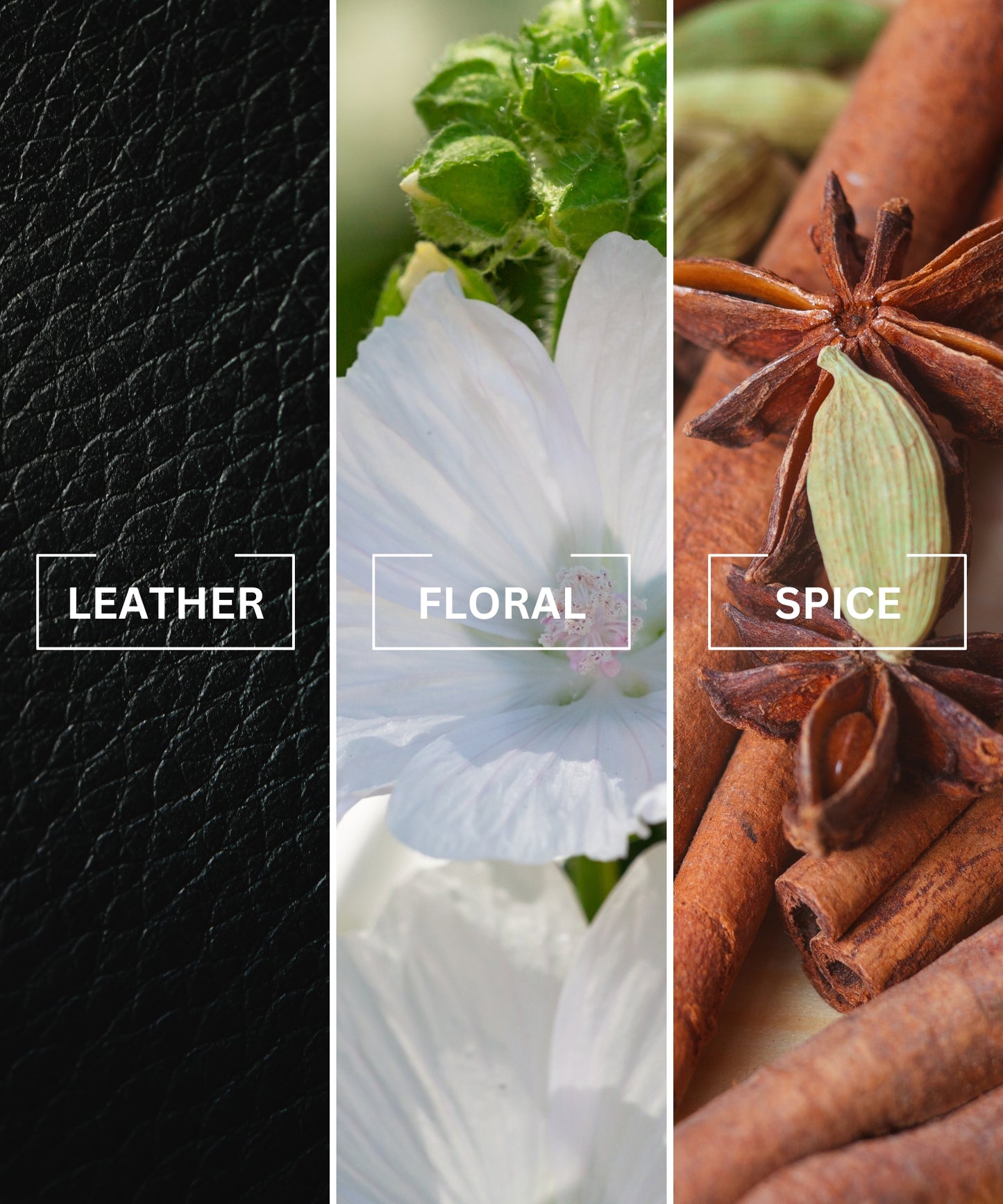 Leather Luxury Air Freshener