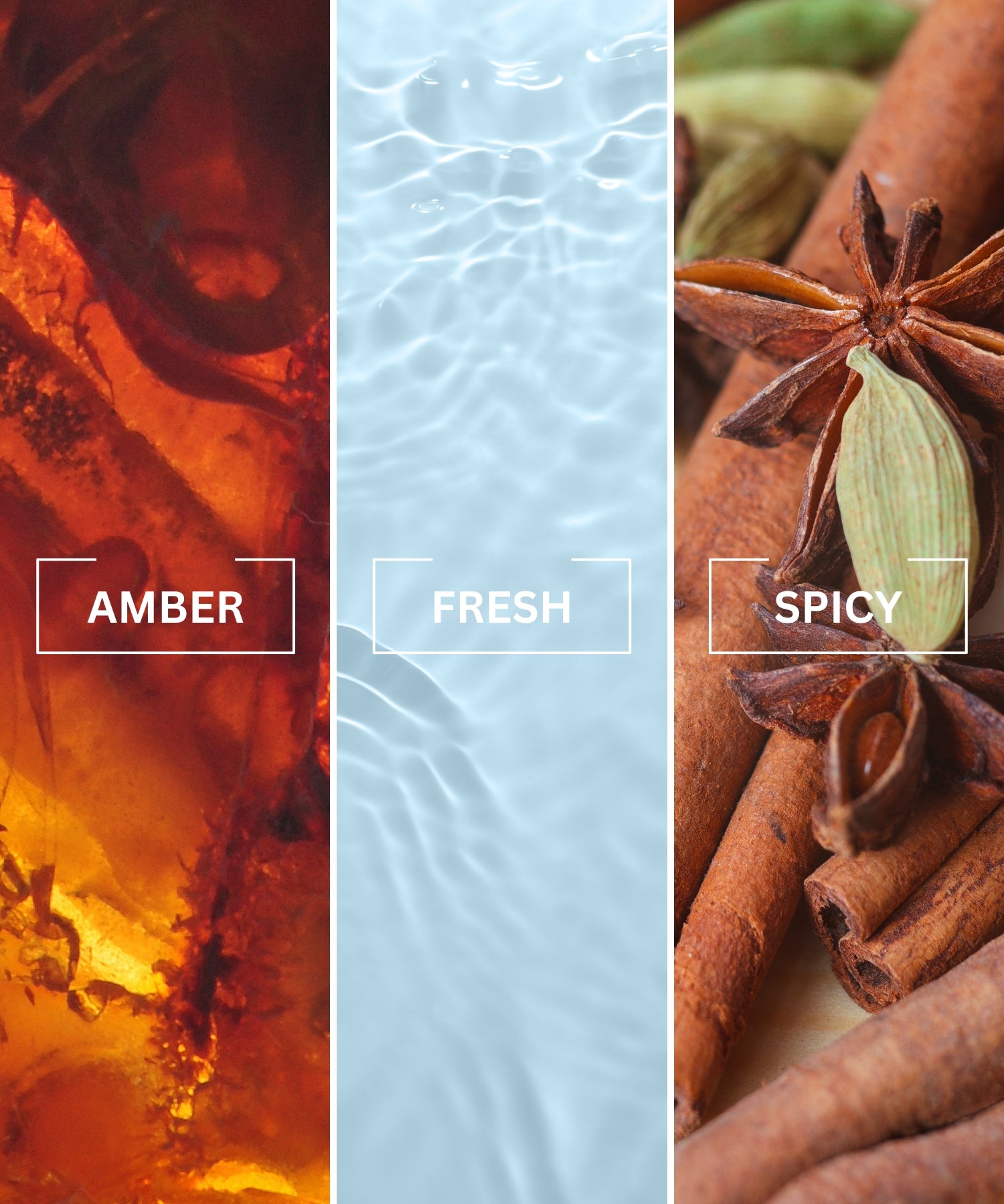 ONE Luxury Air Freshener - LIMITED EDITION