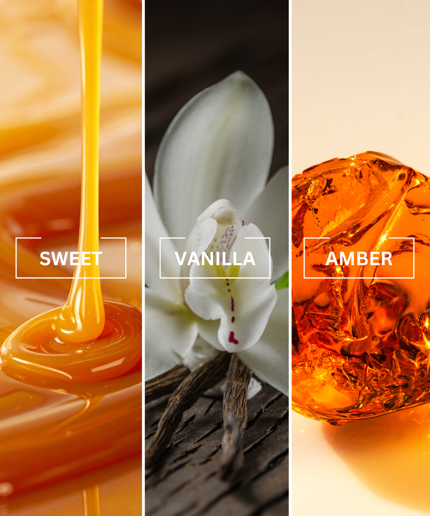 Aroma Diffuser 10ml Refill