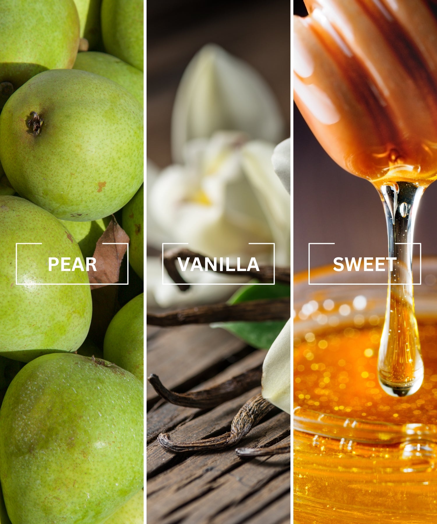 ULTRA Luxury Air Freshener - LIMITED EDITION